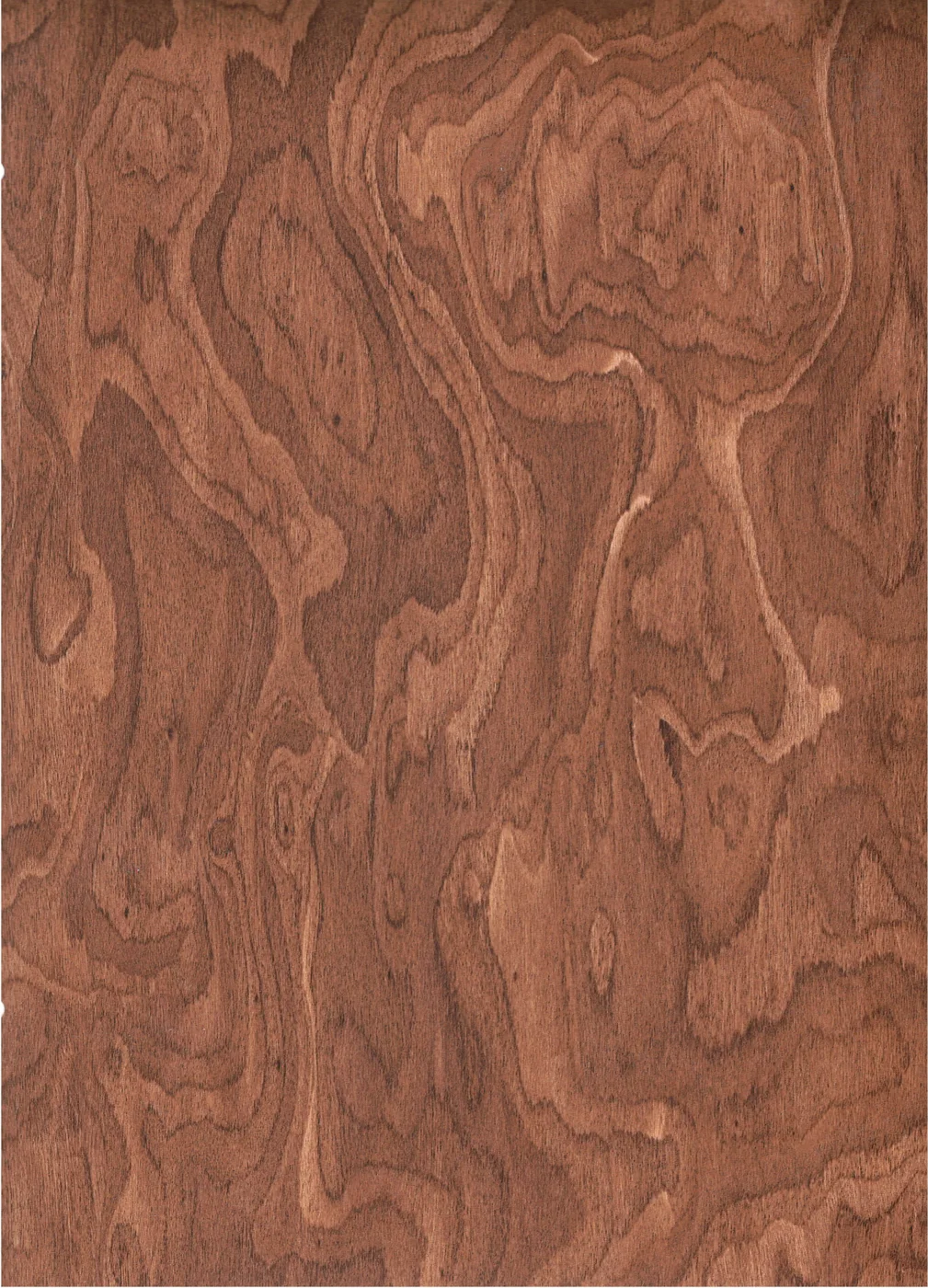 Warm Elite Wood Collection variant 6