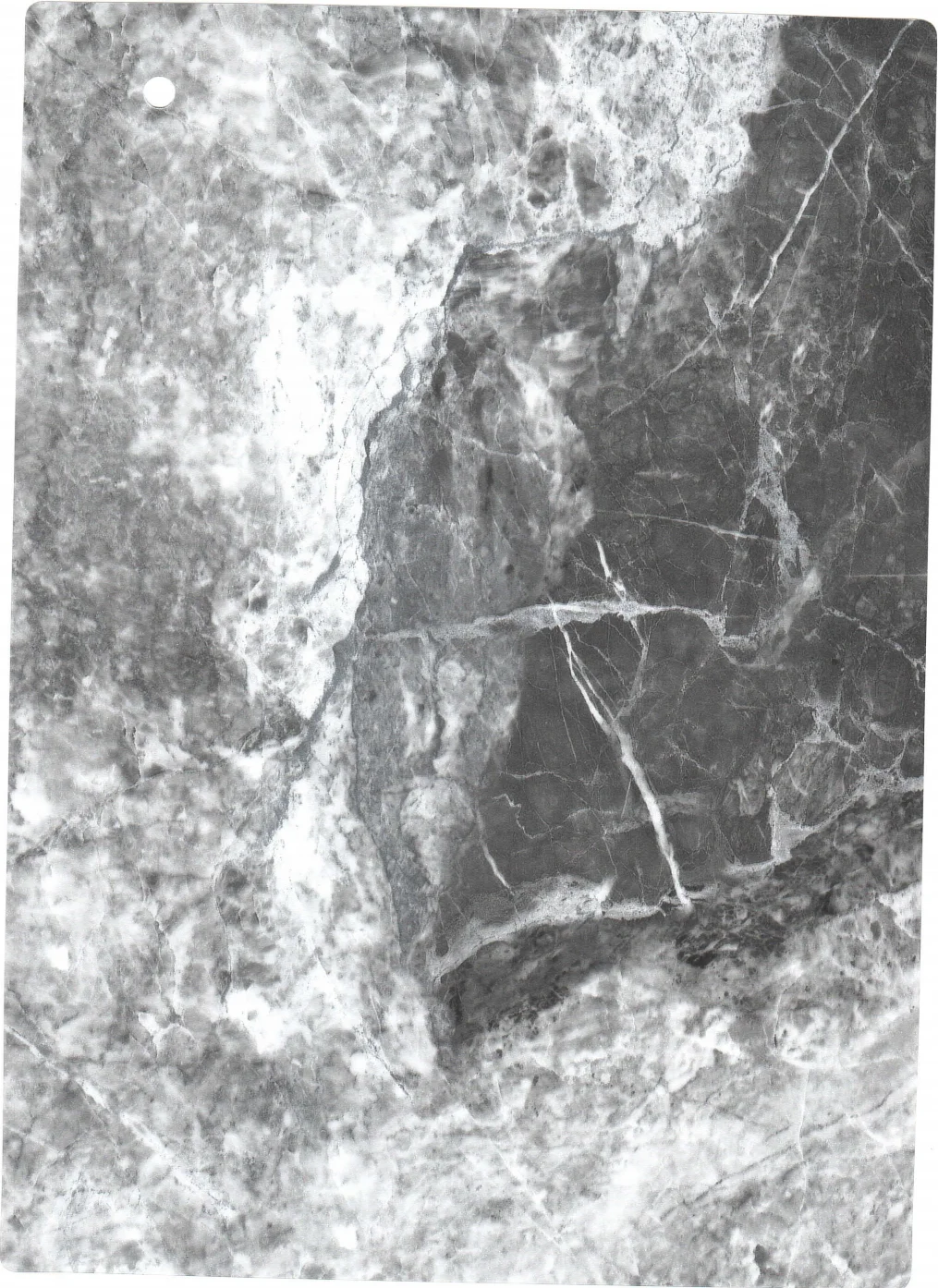 Dramatic Veined Marble Collection variant 4