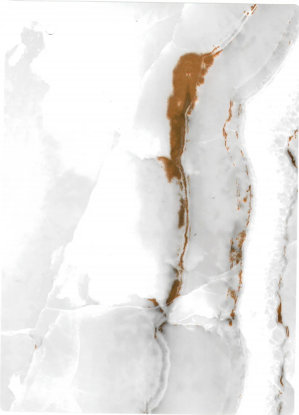 Dramatic Veined Marble Collection variant 5