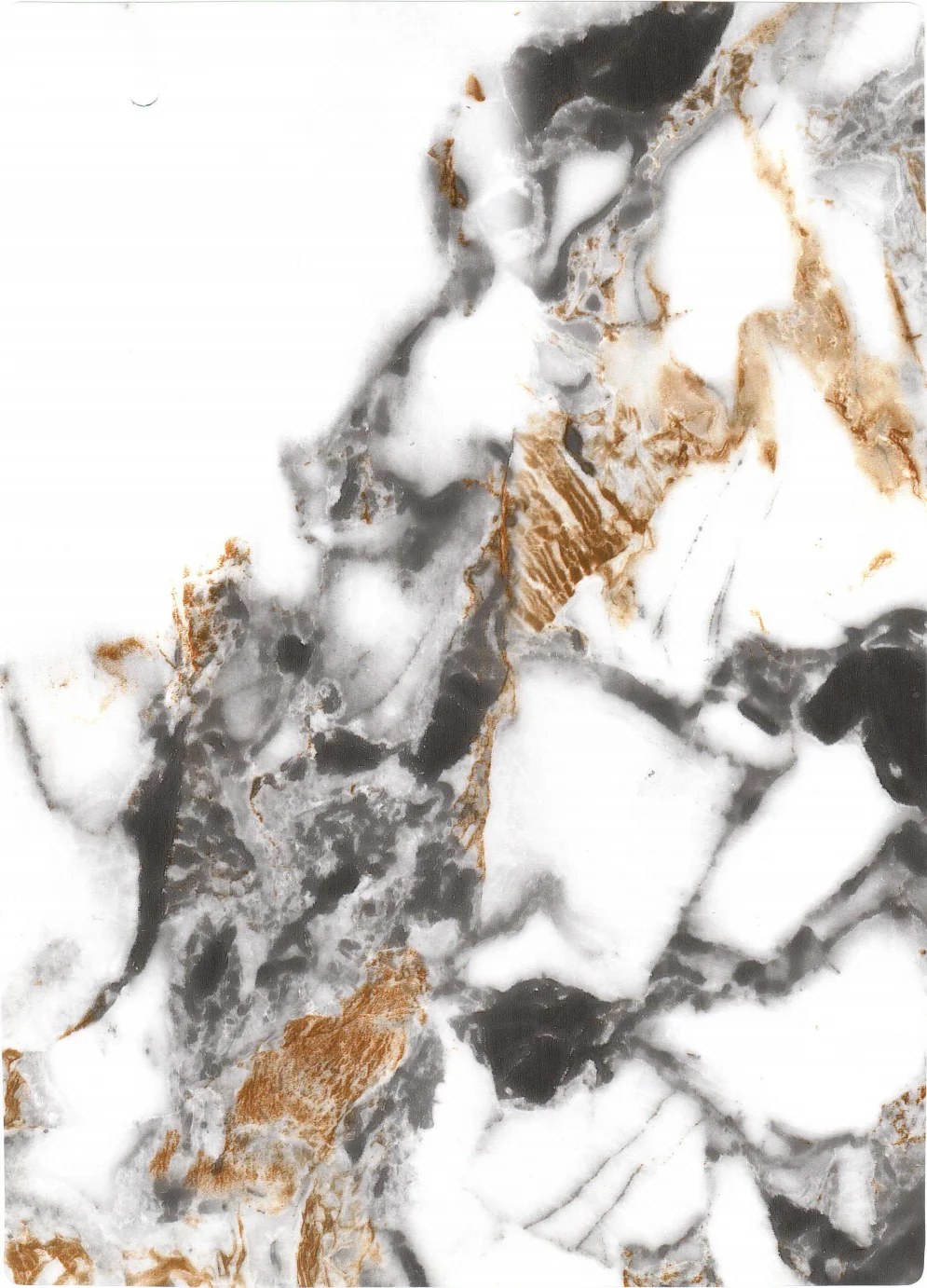Dramatic Veined Marble Collection variant 6