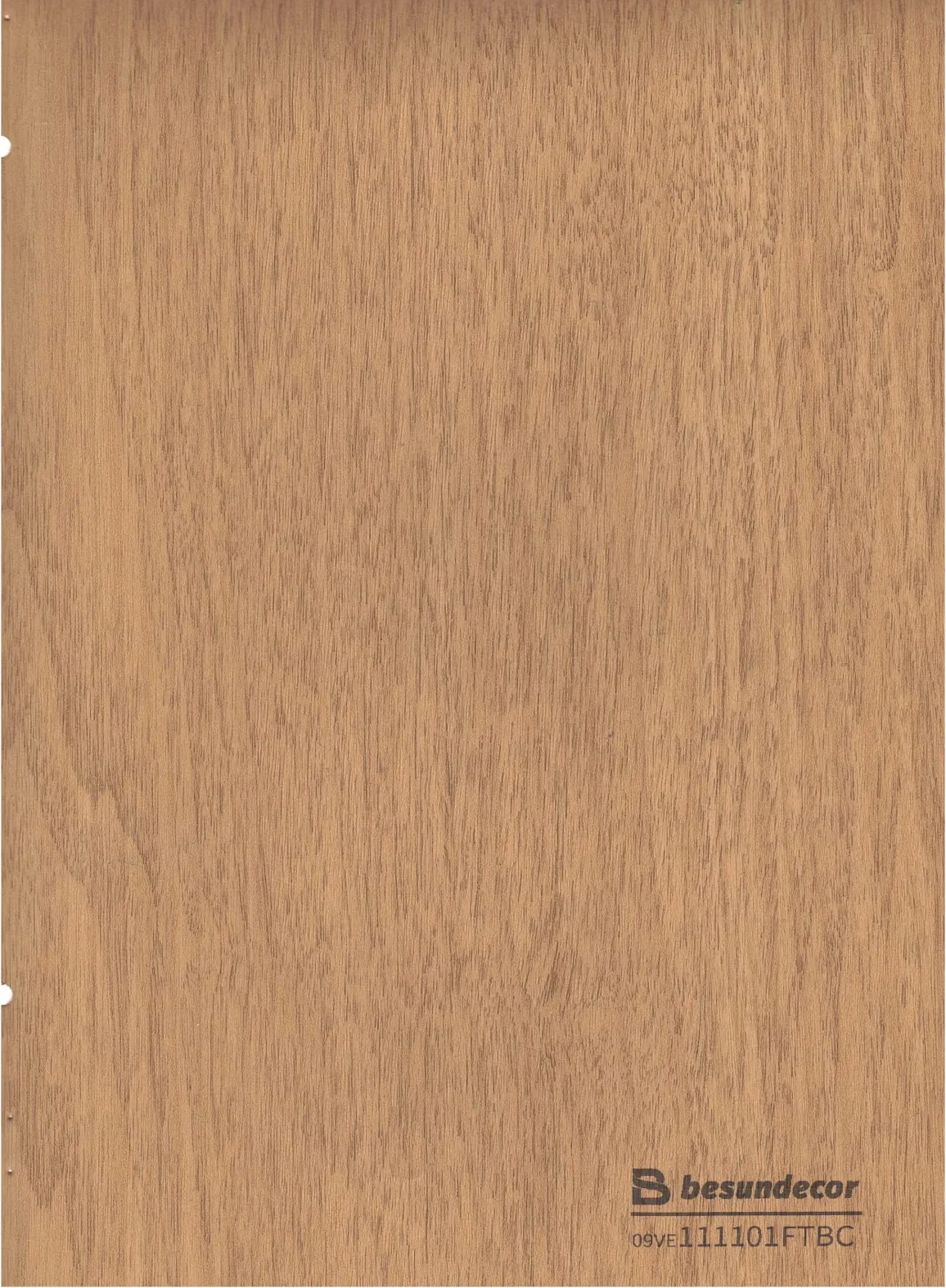 Horizontal Wood Grain Collection variant 10